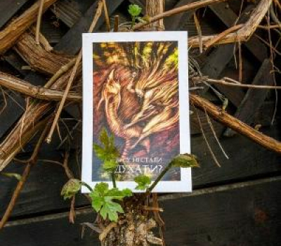  catalog's illustrations