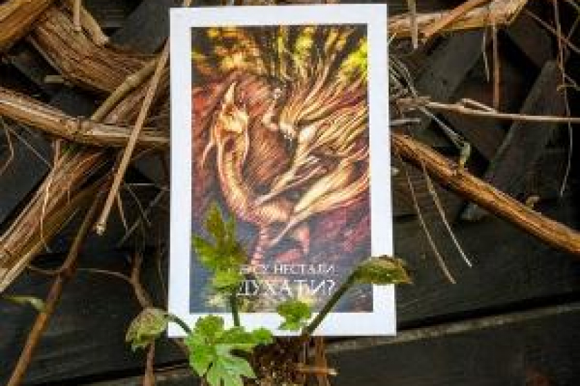  catalog's illustrations